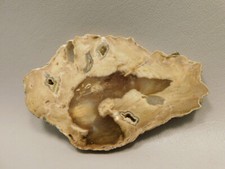 Petrified wood water for sale  Phoenix