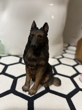 Realistic belgian shepherd for sale  Versailles