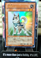 Usado, Shiba Warrior Taro Yu-gi-oh Yugioh YAP1-JP009 Ultra Raro Konami Japão comprar usado  Enviando para Brazil
