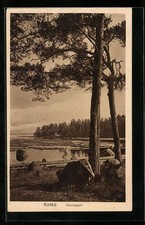 Pocztówka Kotka, Hovinsaari 1928  na sprzedaż  Wysyłka do Poland