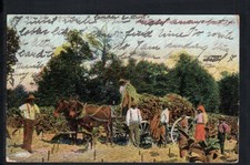 1909 clarksville black for sale  Adairsville