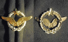 Insigne militaire brevet d'occasion Insigne militaire brevet d'occasion  Meung-sur-Loire