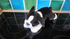 Keel toys dog for sale  BLANDFORD FORUM
