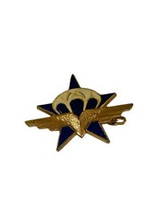Insigne 1er rcp. d'occasion  Marchiennes