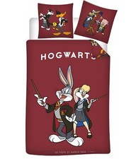 Bettwäsche set hogwarts gebraucht kaufen  Oberhausen