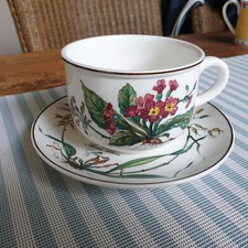 Botanica frühstückstasse mil gebraucht kaufen  Überherrn