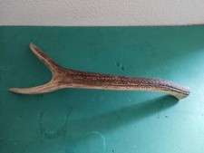 Bois mue cerf d'occasion  France