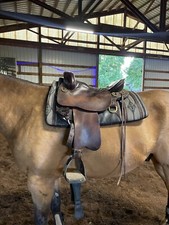 Tucker trail saddle for sale  Cottage Grove