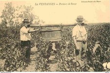 Reproduction cpa agriculture d'occasion  Fruges