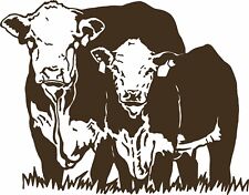 Cow bull calf for sale  Chatsworth