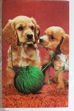 cocker spaniels for sale cocker spaniels for sale Wilmington