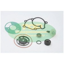 Kit revisione pompa usato  Frattaminore