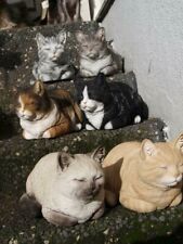 Katze kater deko gebraucht kaufen  Wesel