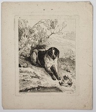 Fr. desportes chien d'occasion  Lyon II