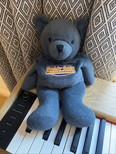 Beddy bear microwaveable for sale  WITNEY