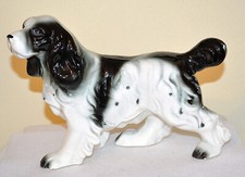 english springer spaniel dog for sale  Clintonville