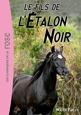 Etalon noir tome d'occasion  Expédié en Belgium