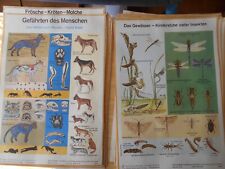 Schautafel schultafelbild lehr gebraucht kaufen  Coburg