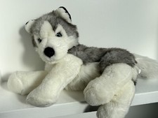 Lapland husky dog for sale  SIDCUP
