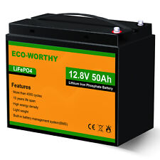 Eco worthy 12v gebraucht kaufen  Aspisheim, Grolsheim
