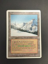 Mtg taiga excellent usato  Viu