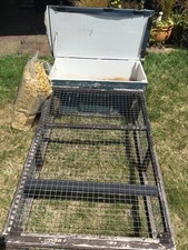 pets home rabbit for sale pets home rabbit for sale GILLINGHAM