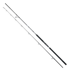 Canna daiwa saltist usato  Mirandola