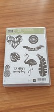 Stampin stempelset pop gebraucht kaufen  Halvesbostel