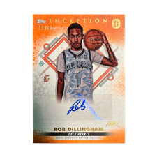 Rob dillingham 2022 usato  Reggio Emilia