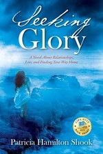 Seeking glory novel for sale  North Smithfield