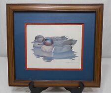 Ducks richard sloan for sale  Orange City