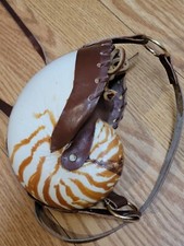 Bolsa de concha de mar Nautilus bolsa de casamento noite alça anos 70, usado comprar usado  Enviando para Brazil