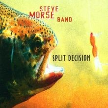 Split decision morse gebraucht kaufen  Berlin