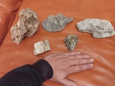 Aquarium steine set gebraucht kaufen  Lüchow