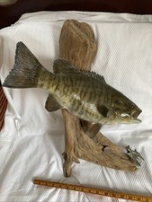Inch small mouth for sale  Poultney