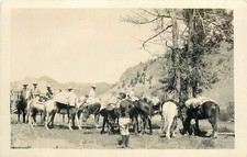 Postcard rppc 1920s for sale  Prescott
