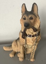 Dog studies leonardo for sale  ROCHESTER