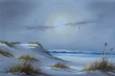 Peaceful seascape sunset for sale  Hempstead