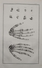 Mains anatomie ostéologie d'occasion  Paris IX