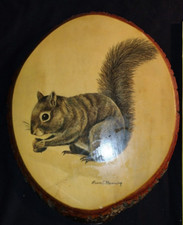 Ruane manning squirrel for sale  LEICESTER