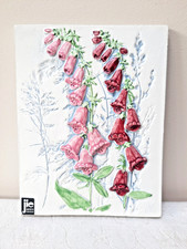 Jie gantofta foxgloves for sale  ESHER