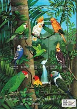 Sierra leone 2000 usato  Trambileno