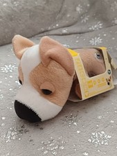 Dog collection chihuahua for sale  RUGELEY