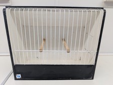 show budgies for sale show budgies for sale WARRINGTON
