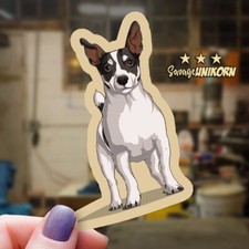 Jack russell terrier for sale  Bristol