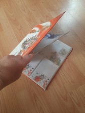 Diddl rdner xxl gebraucht kaufen  Gardelegen