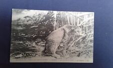 Antique congo leopard d'occasion  Expédié en Belgium