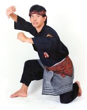 Rare pencak silat for sale  South Amboy