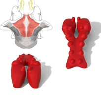 Trapezius trigger point for sale  Lenexa
