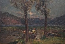 Alessandro lupo lago usato  Gavirate